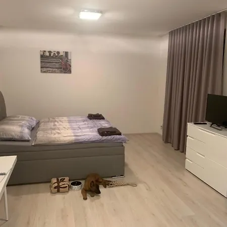Modern In The City Center Apartment *